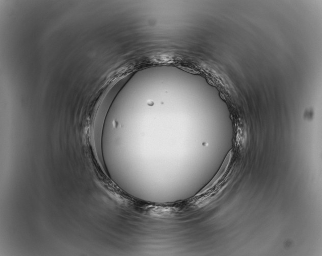 X0000098050332200804181330