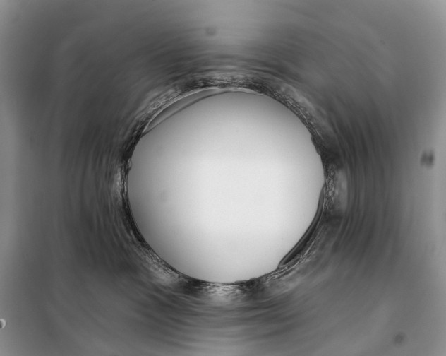 X0000098050333200804181330