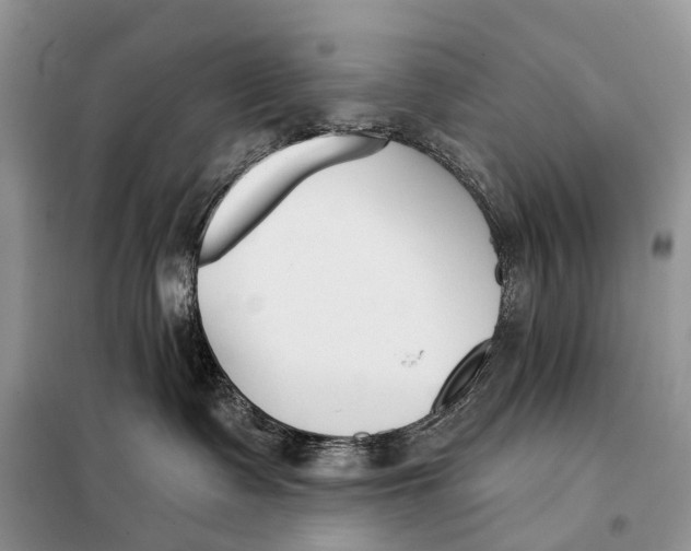 X0000098050335200804181330