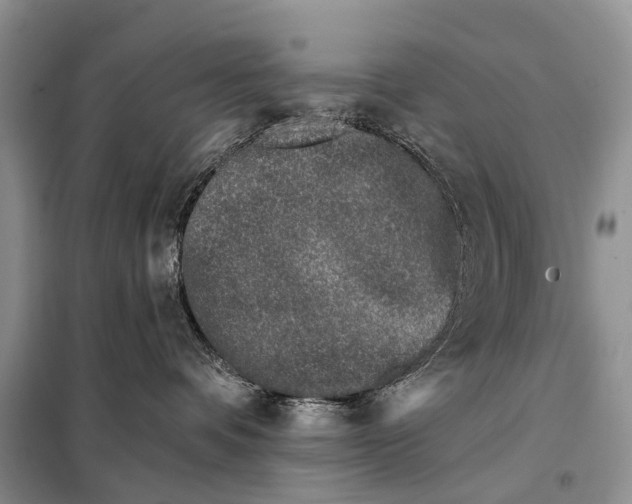 X0000098050336200804181330