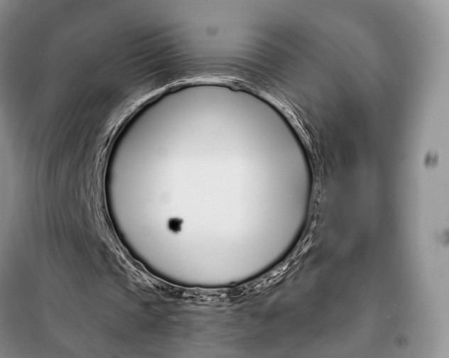 X0000098050337200804181329