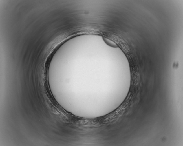 X0000098050338200804181329