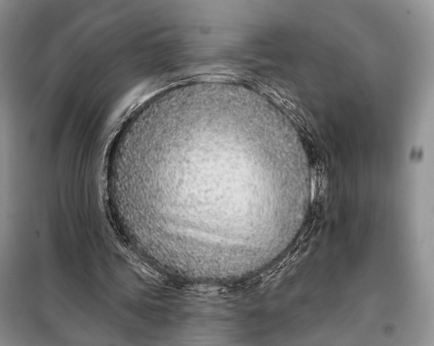 X0000098050339200804181329