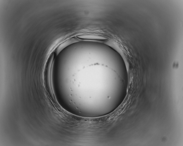 X0000098050340200804181329