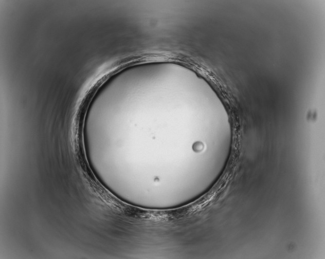 X0000098050343200804181329