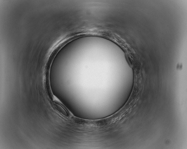 X0000098050344200804181329