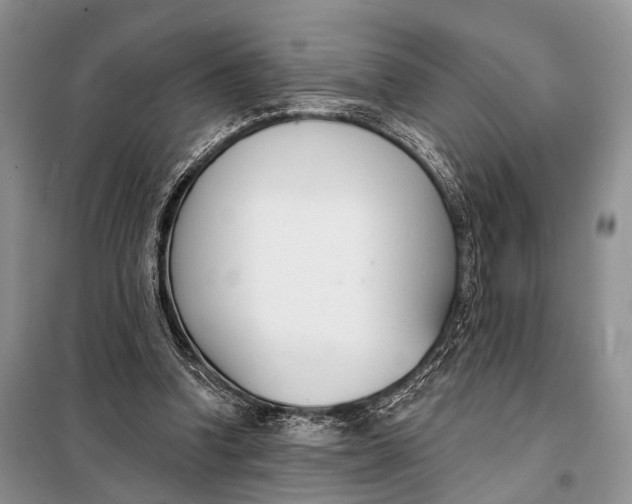 X0000098050346200804181329