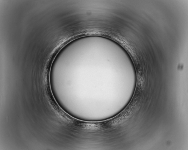 X0000098050347200804181329