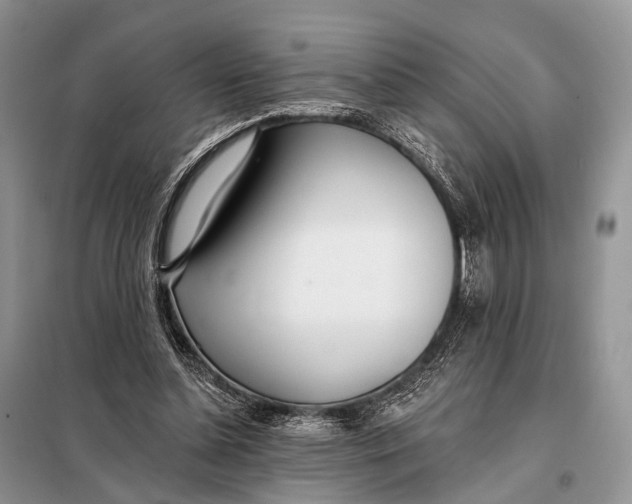 X0000098050348200804181329