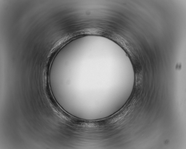 X0000098050349200804181329