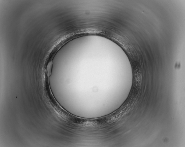 X0000098050350200804181329