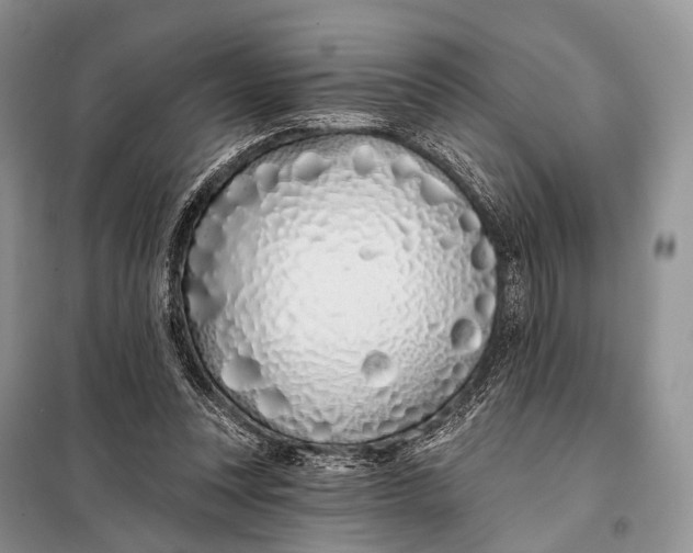 X0000098050351200804181329