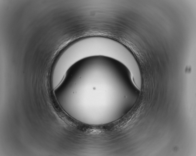 X0000098050352200804181329