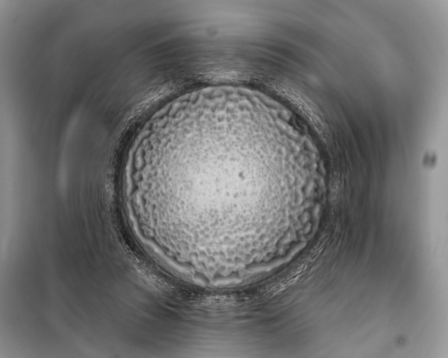 X0000098050353200804181329