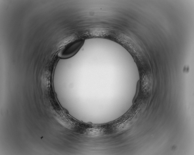 X0000098050356200804181329