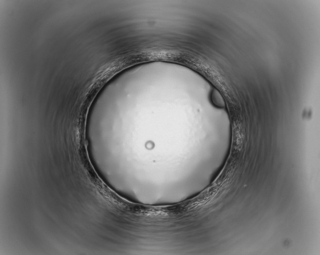 X0000098050357200804181329