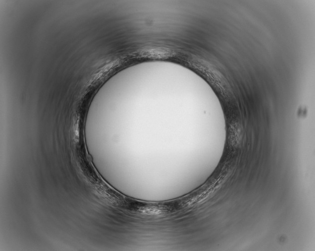 X0000098050358200804181329