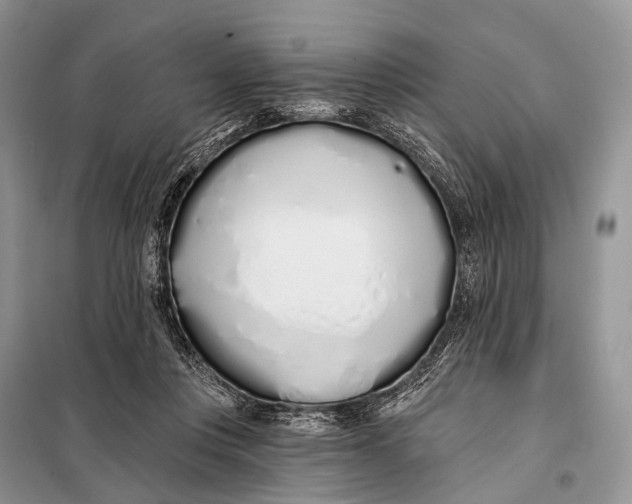 X0000098050359200804181329