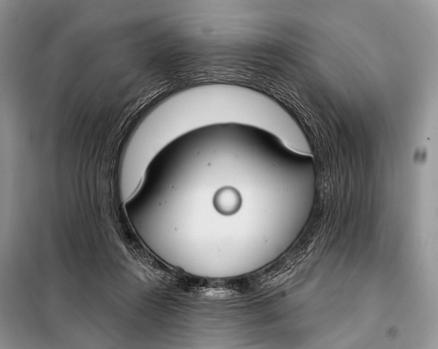 X0000098050360200804181330