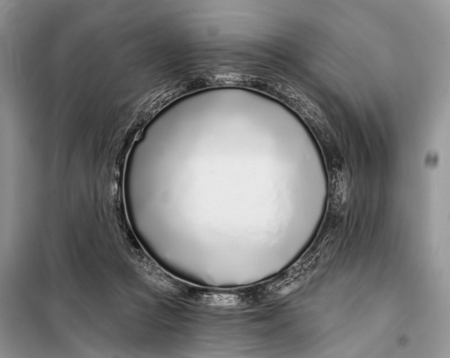 X0000098050361200804181330