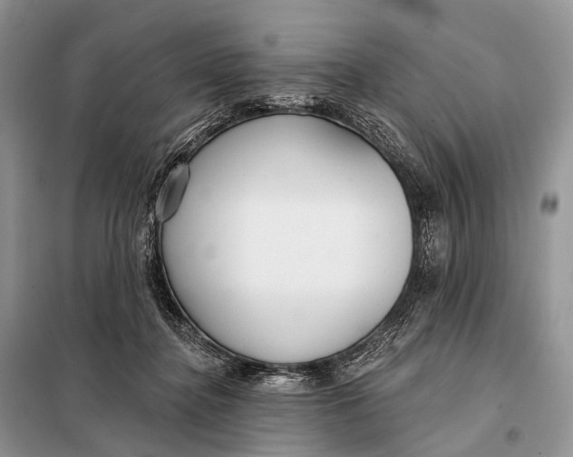 X0000098050364200804181330