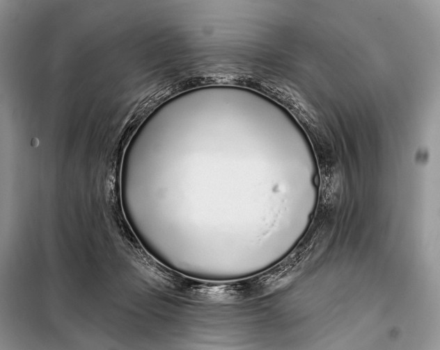 X0000098050365200804181330