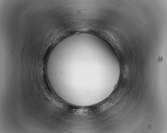 X0000098050366200804181330