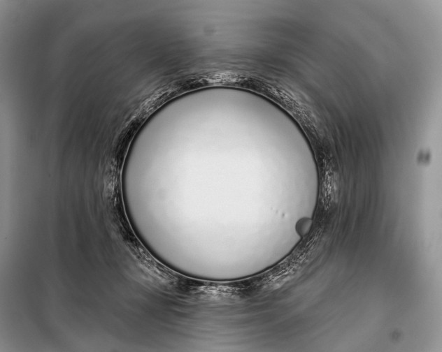 X0000098050367200804181330