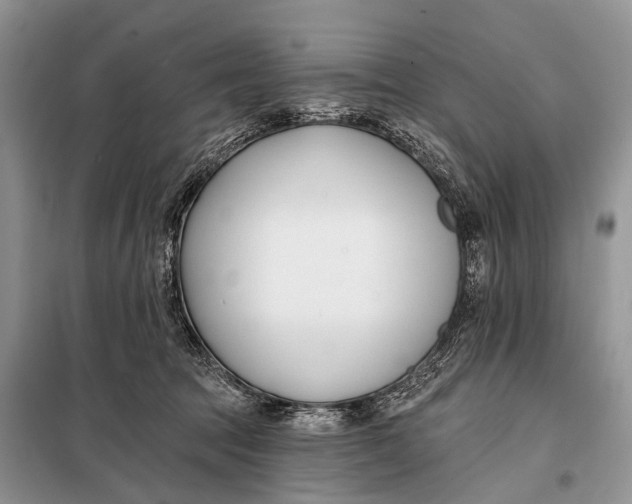 X0000098050369200804181330