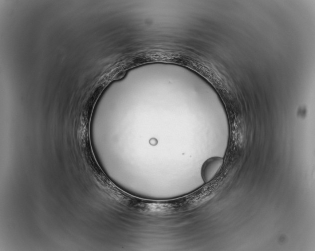 X0000098050371200804181330