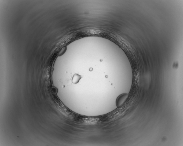 X0000098050373200804181330