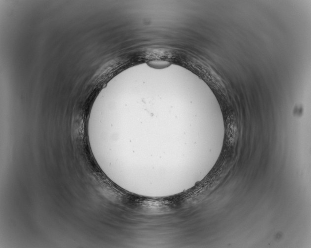 X0000098050375200804181330