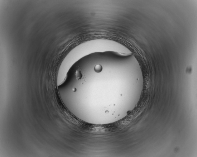 X0000098050376200804181330