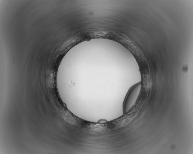 X0000098050378200804181330