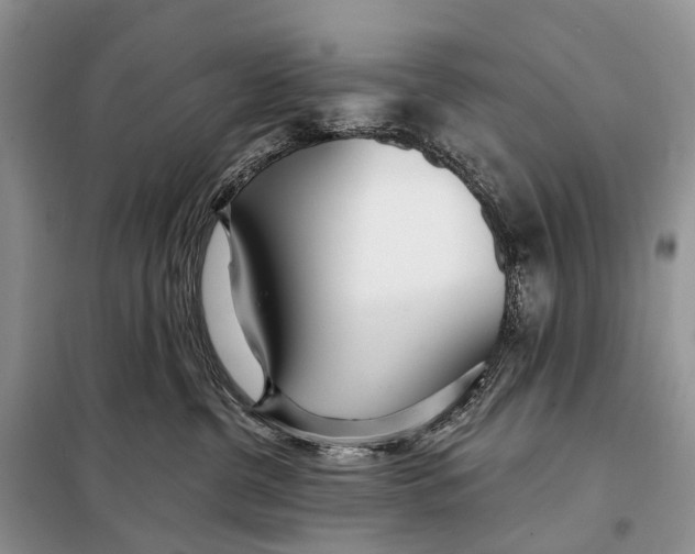 X0000098050380200804181330