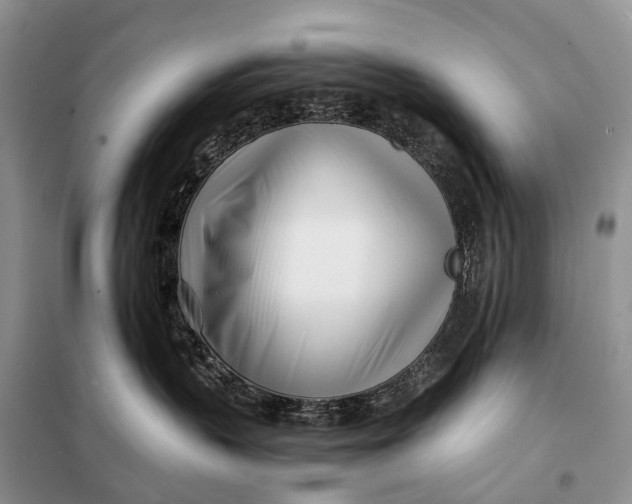 X0000098050383200804181330