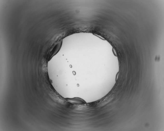 X0000098050384200804181330