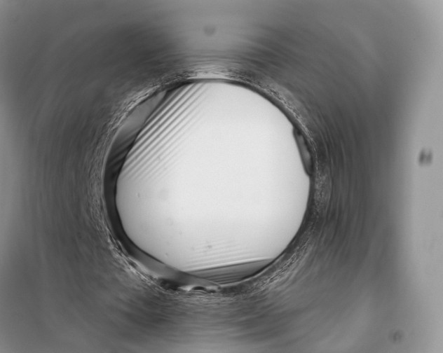 X0000098050385200804181329