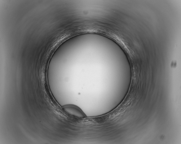 X0000098050386200804181329