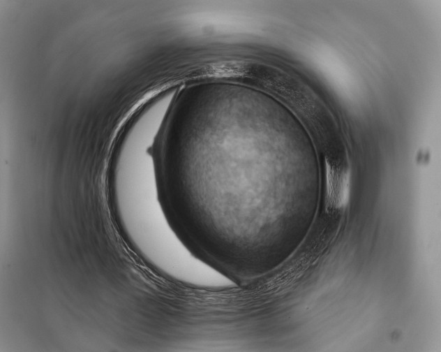 X0000098050387200804181329