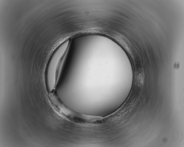 X0000098050389200804181329