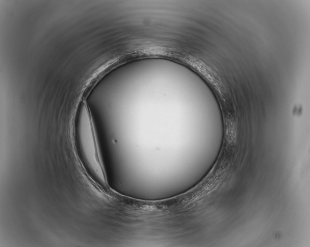 X0000098050390200804181329