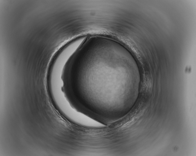 X0000098050391200804181329