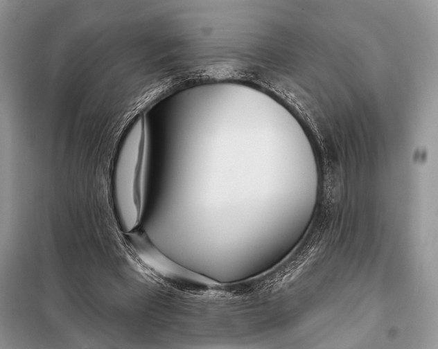 X0000098050393200804181329