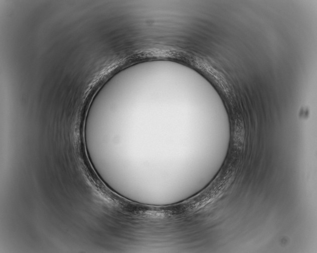 X0000098050394200804181329