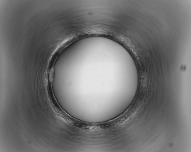 X0000098050395200804181329