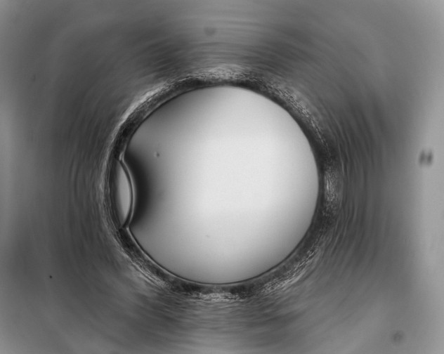 X0000098050396200804181329