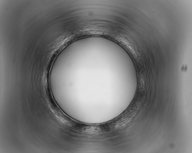 X0000098050398200804181329