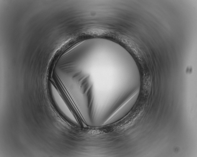 X0000098050399200804181329