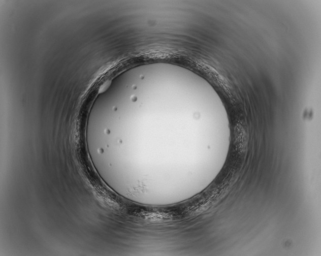 X0000098050400200804181329